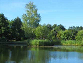 Au pays des lacs et des forêts, ... Ici à la ferme (cachée dans les arbres) profitant de l'hospitalité lituanienne