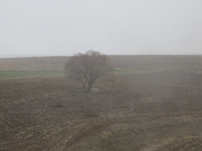 Le jour où j’ai photographié l’hiver. J’étais sur la route, ce deux décembre, un peu après Kayseri. L’automne tirait sur sa fin. 
Une première bourrasque s’abat avec le dieu de l’hiver à sa tête. 
