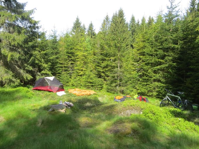 
Forêt de Bohême (République tchèque).
