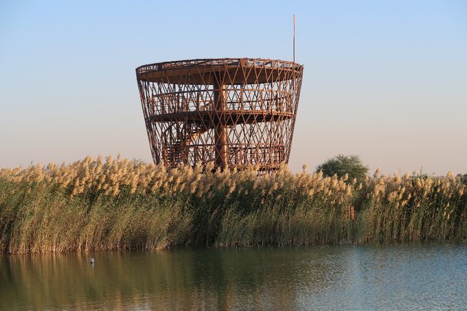 Les tours d'observation sont aussi une option pour le camping (EAU).