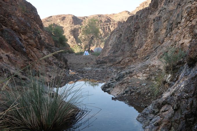 Je revenais de la source. Je me croyais seul dans mon oued. Le petit-déjeuner était déjà prêt ! (Oman)