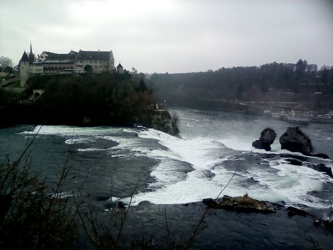 Les chutes du Rhin.