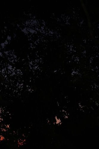 Célébration bouddhique lors de chaque pleine lune (Poya).